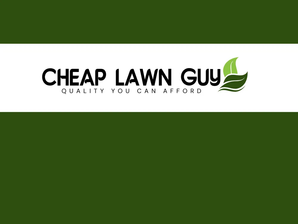Reliable landscape installation for beautiful yards in Fredericktown, MO by Cheap Lawn Guy