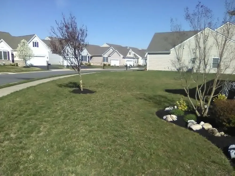 Custom residential landscaping in Dover, DE by Cheap Lawn Service
