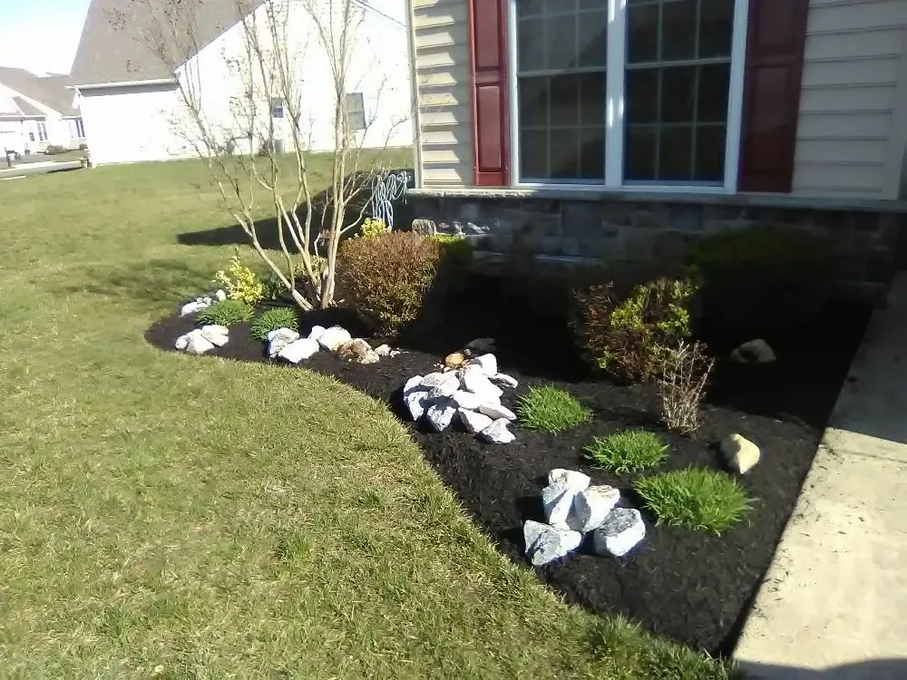 Reliable lawn mowing service in Dover, DE by Cheap Lawn Service