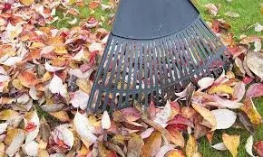 Trusted landscaping services for year-round maintenance in Livonia, MI by Cheap Leaf Cleanup