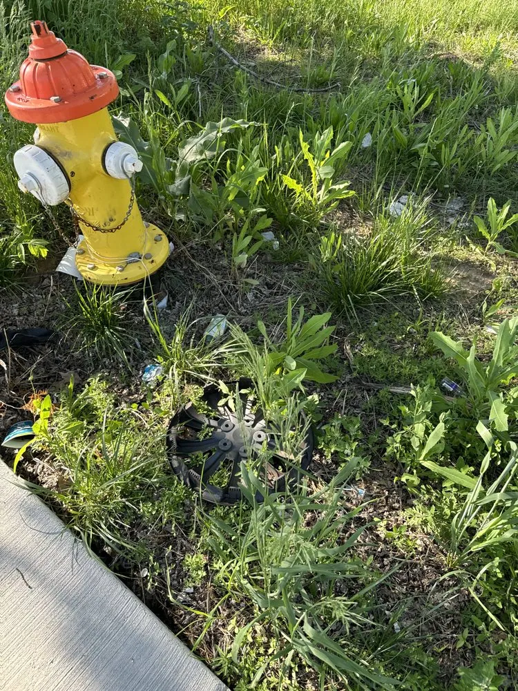 Expert landscaping services in Omaha, NE by Cheap mow