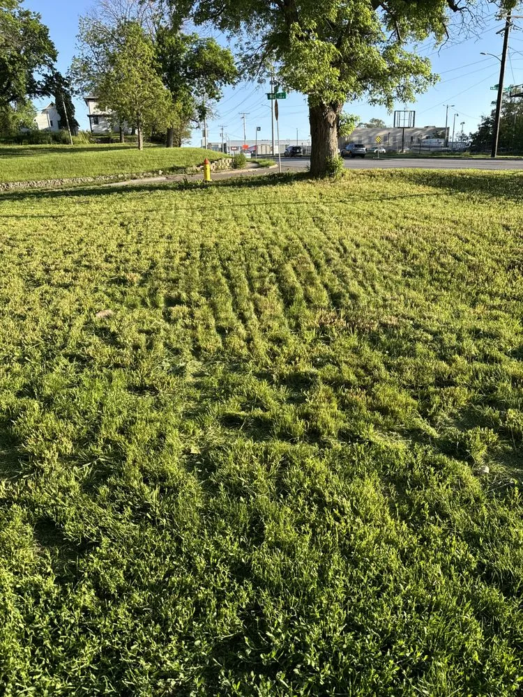 Expert residential landscaping in Omaha, NE by Cheap mow