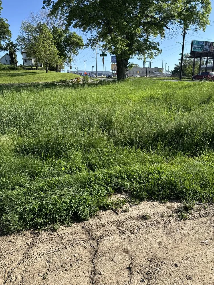 Reliable outdoor landscaping for residential properties in Omaha, NE by Cheap mow