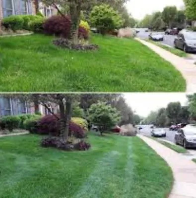 Cheap Payson Landscaping