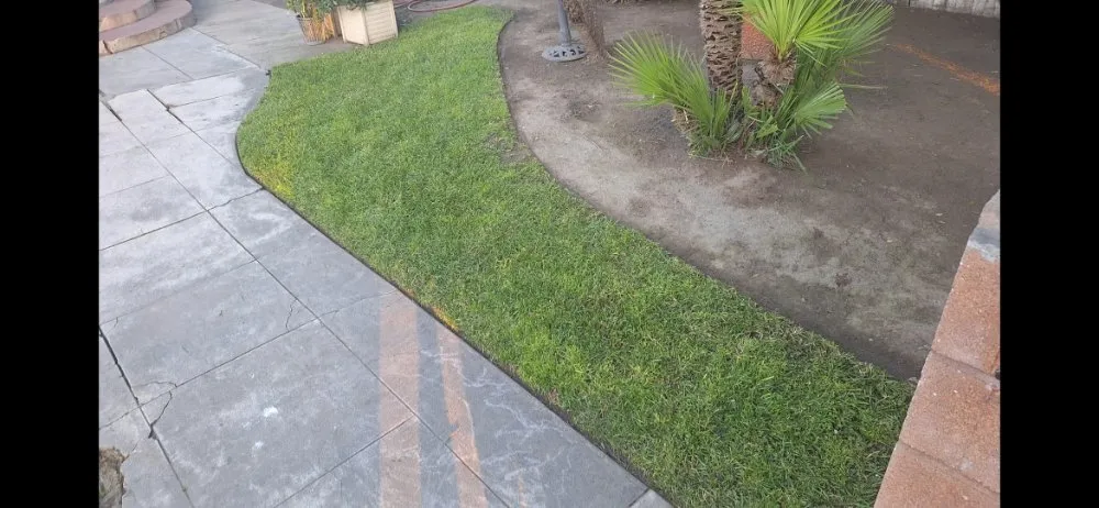 Top-rated landscaping services for homes across Tulare, CA - Cheap Prices Lawn care