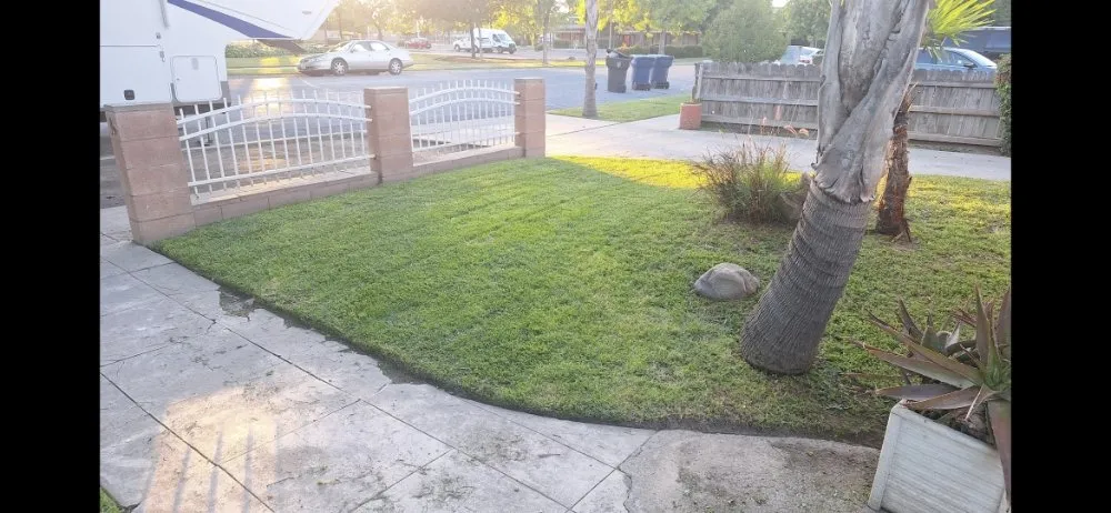 Custom yard maintenance in Tulare, CA - Cheap Prices Lawn care