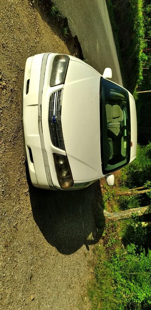 Affordable outdoor landscaping in McEwen, TN - Cheap Professional