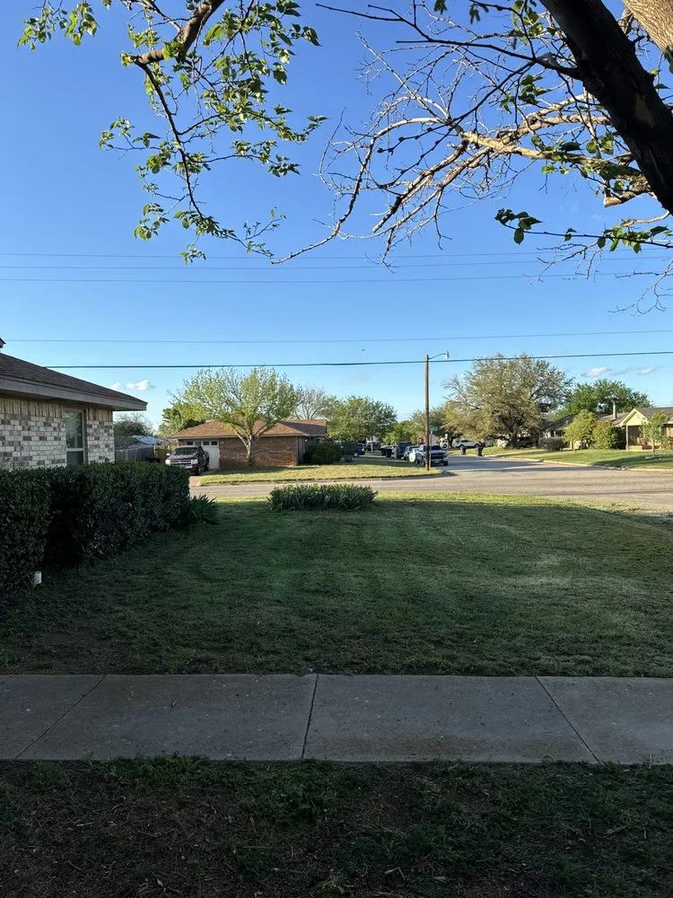 Reliable yard cleanup service experts serving Abilene, TX - Cheap Quality Mowing