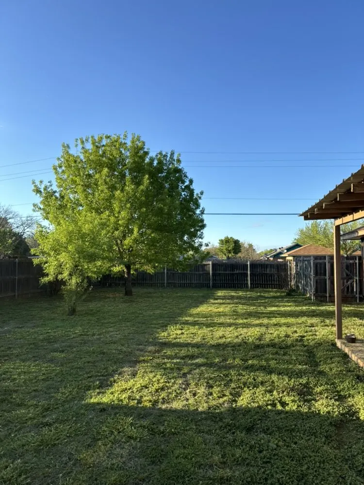 Professional lawn mowing service in Abilene, TX - Cheap Quality Mowing