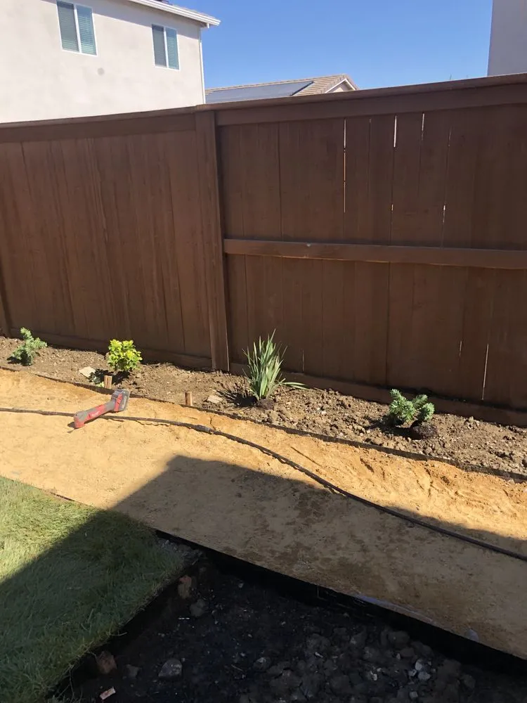 Trusted yard cleanup service in Woodland, CA - Cheaper Landscapes