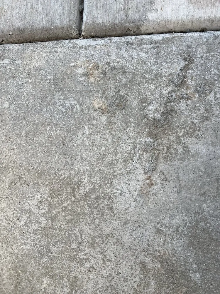 Affordable yard maintenance for outdoor upgrades in Woodland, CA by Cheaper Landscapes