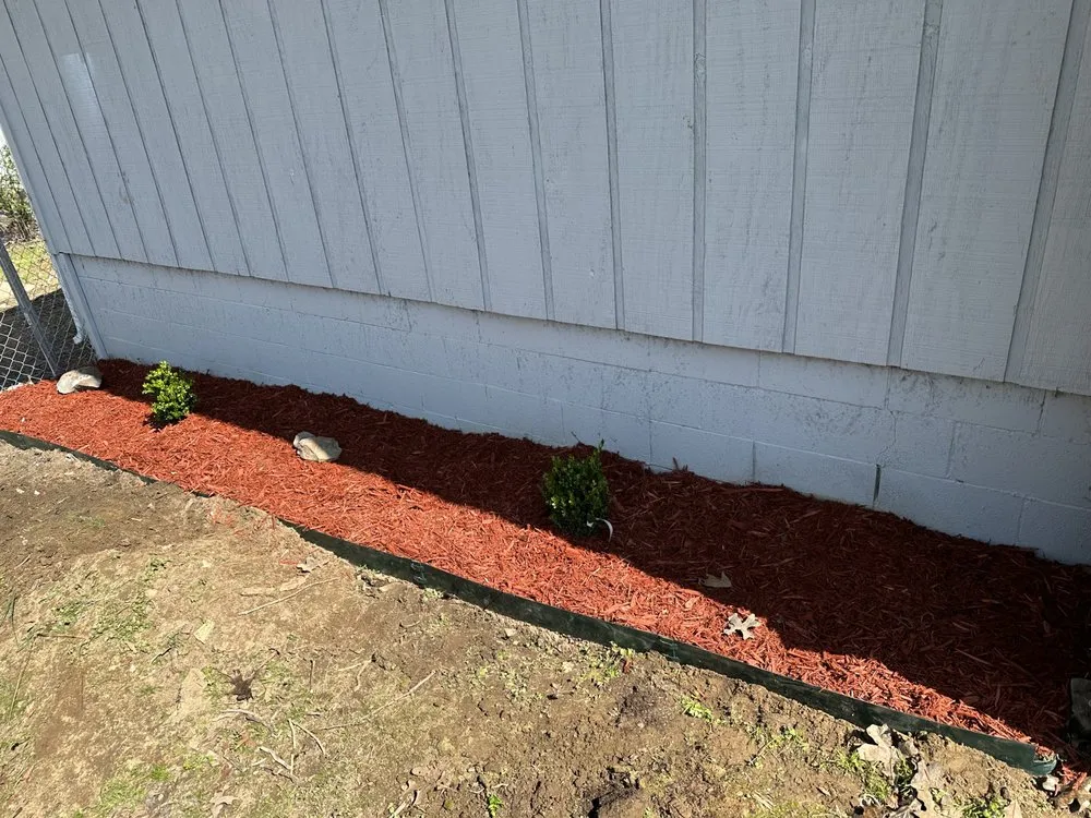 Trusted yard cleanup service in Jacksonville, AR by Cheapess N Town Landscaping