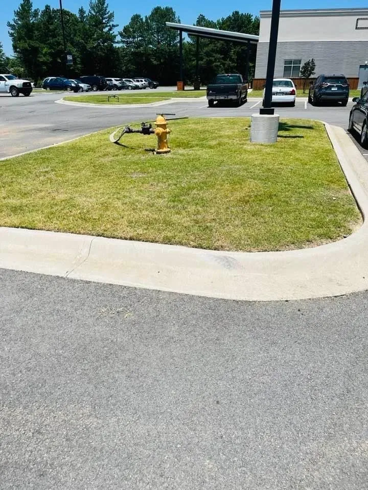 Top-rated landscape installation in Jacksonville, AR - Cheapess N Town Landscaping