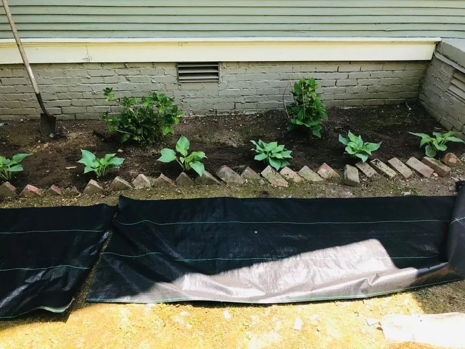 Expert landscape design near you across Jacksonville, AR - Cheapess N Town Landscaping