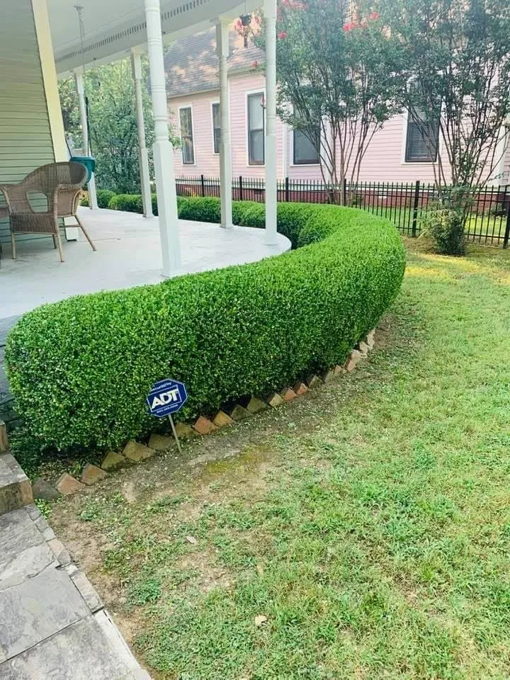 Professional residential landscaping for outdoor upgrades across Jacksonville, AR - Cheapess N Town Landscaping