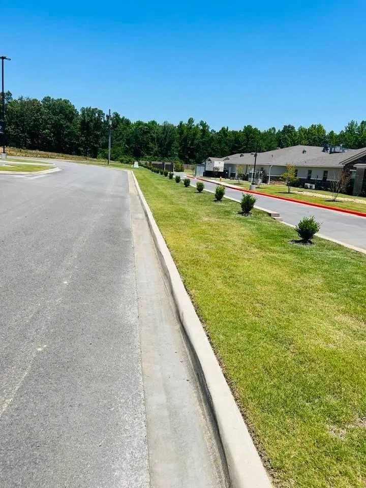 Expert landscaping services in Jacksonville, AR - Cheapess N Town Landscaping