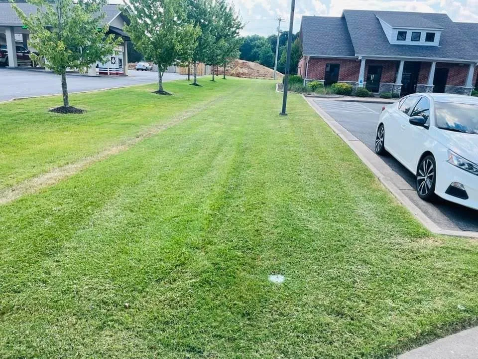 Custom residential landscaping in Jacksonville, AR - Cheapess N Town Landscaping