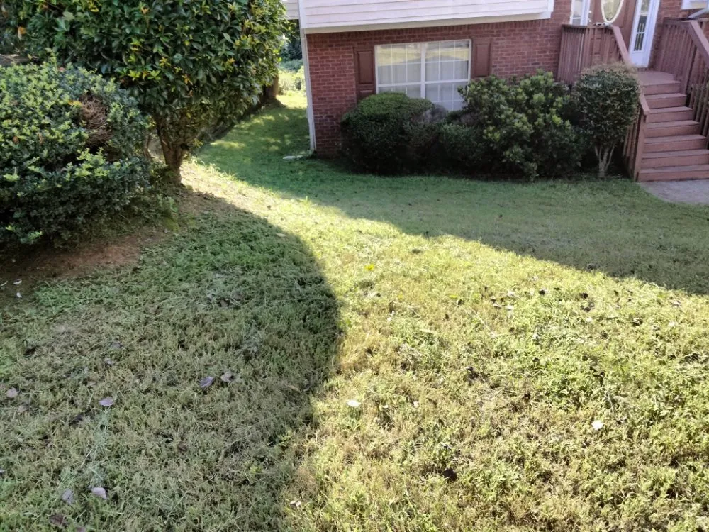 Trusted lawn care service with custom design across Austell, GA - Cheapest in Town Landscaping