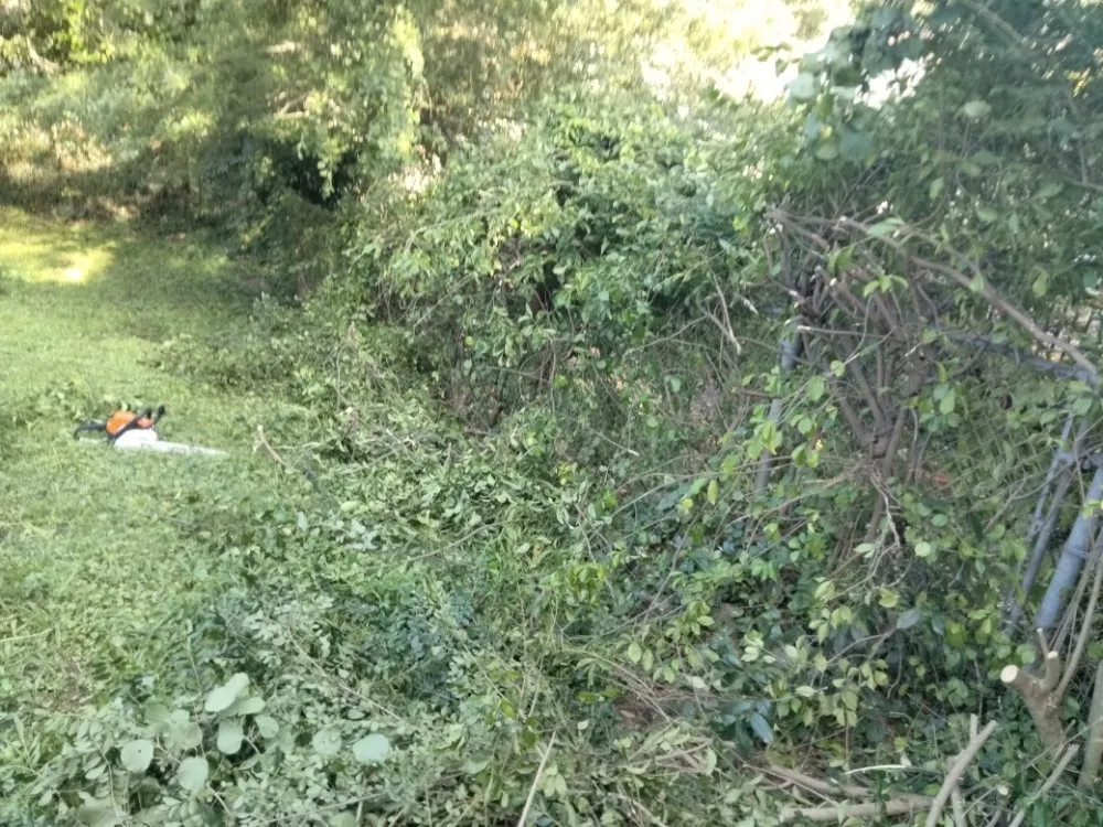 Custom landscape installation for outdoor upgrades across Austell, GA - Cheapest in Town Landscaping