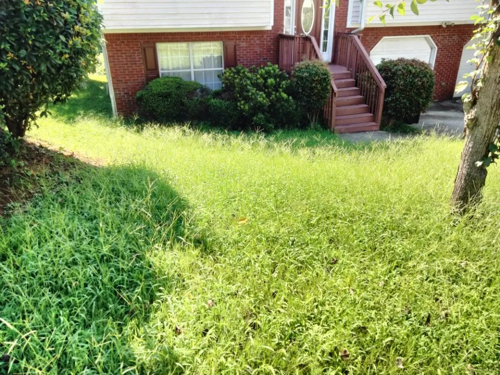 Expert yard cleanup service experts serving Austell, GA - Cheapest in Town Landscaping