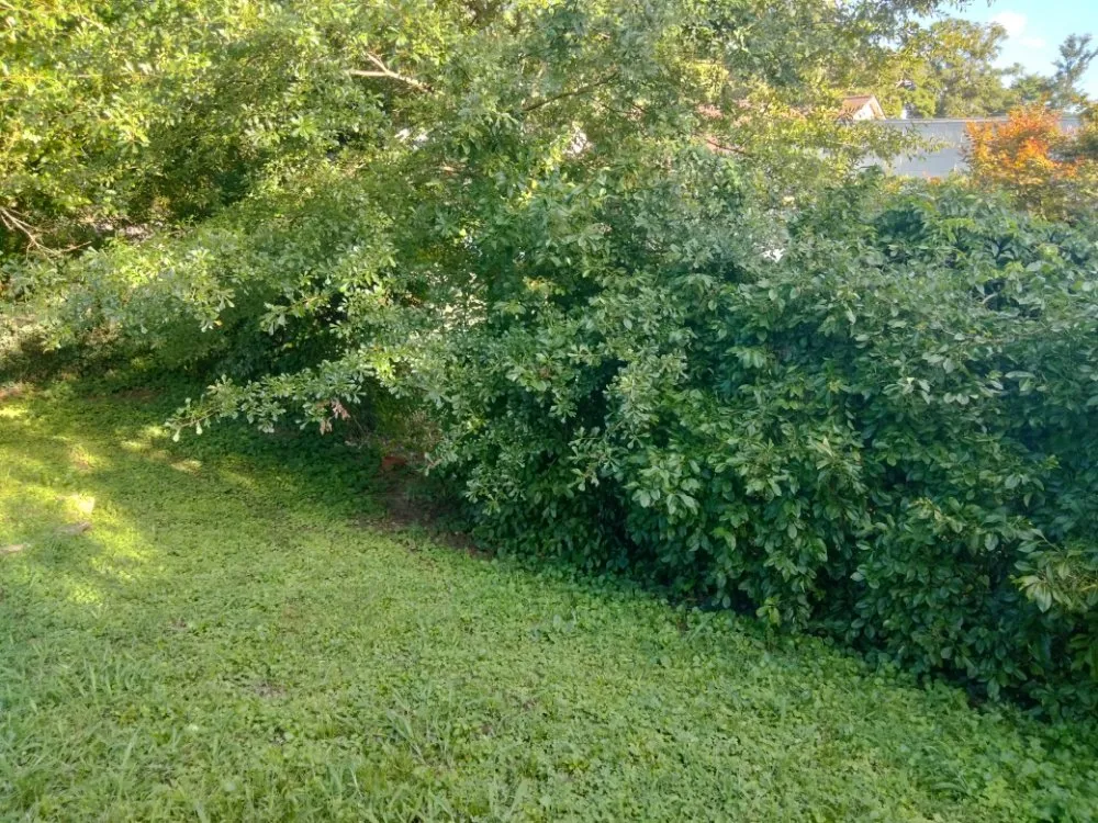 Expert residential landscaping experts serving Austell, GA - Cheapest in Town Landscaping