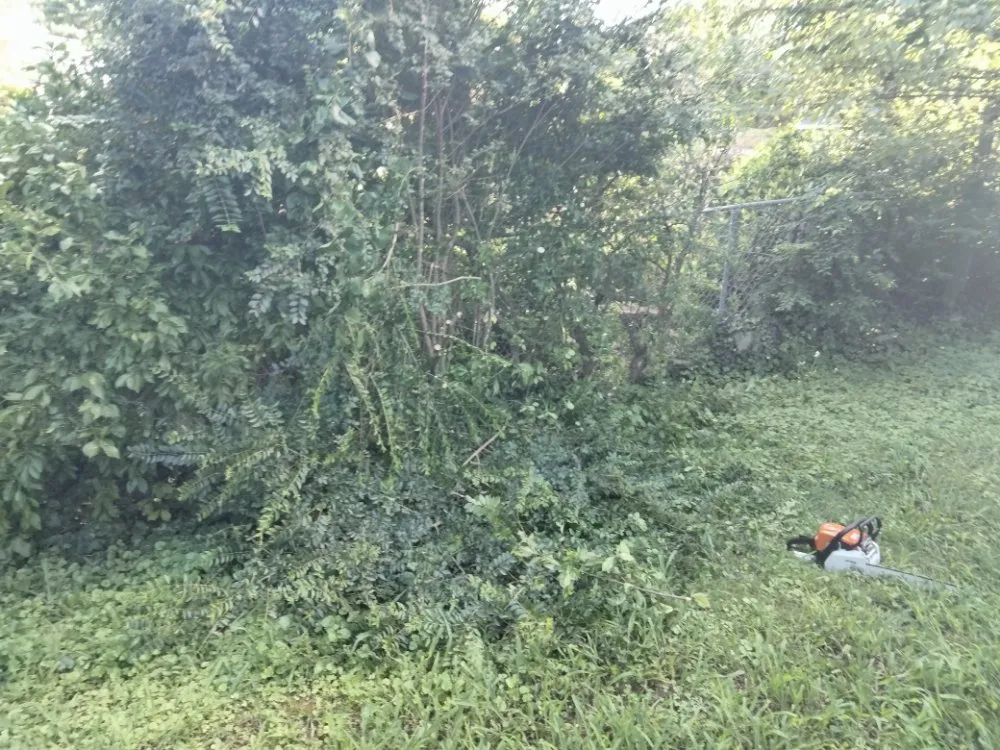 Expert lawn care service for outdoor upgrades across Austell, GA - Cheapest in Town Landscaping