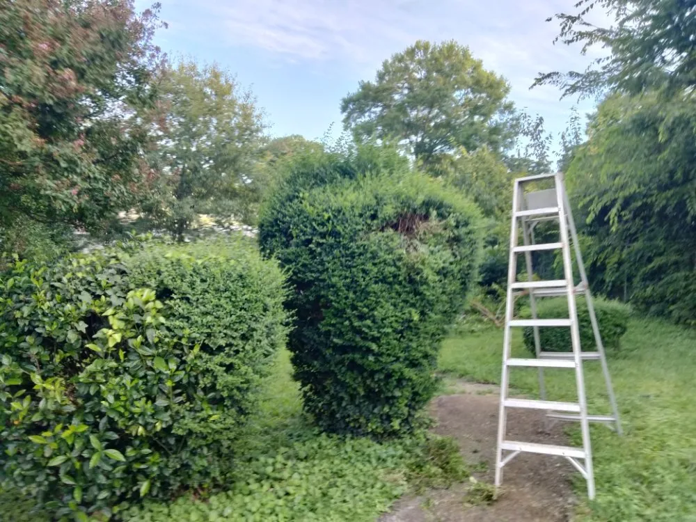 Top-rated yard maintenance for homes in Austell, GA by Cheapest in Town Landscaping