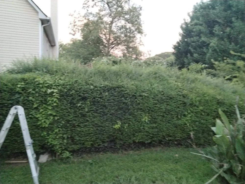 Top-rated garden landscaping near you in Austell, GA by Cheapest in Town Landscaping