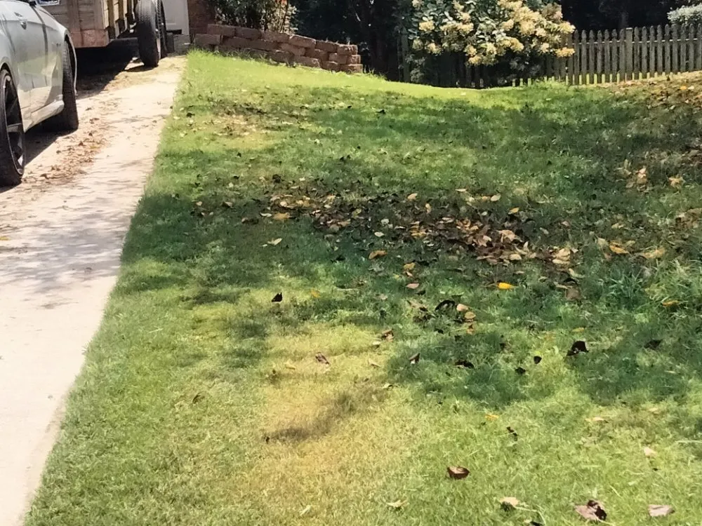 Local yard cleanup service near you across Austell, GA - Cheapest in Town Landscaping