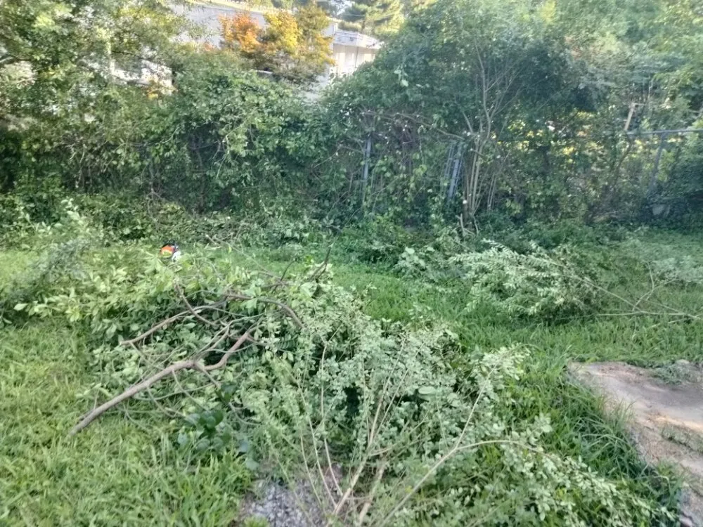 Professional yard maintenance experts serving Austell, GA - Cheapest in Town Landscaping