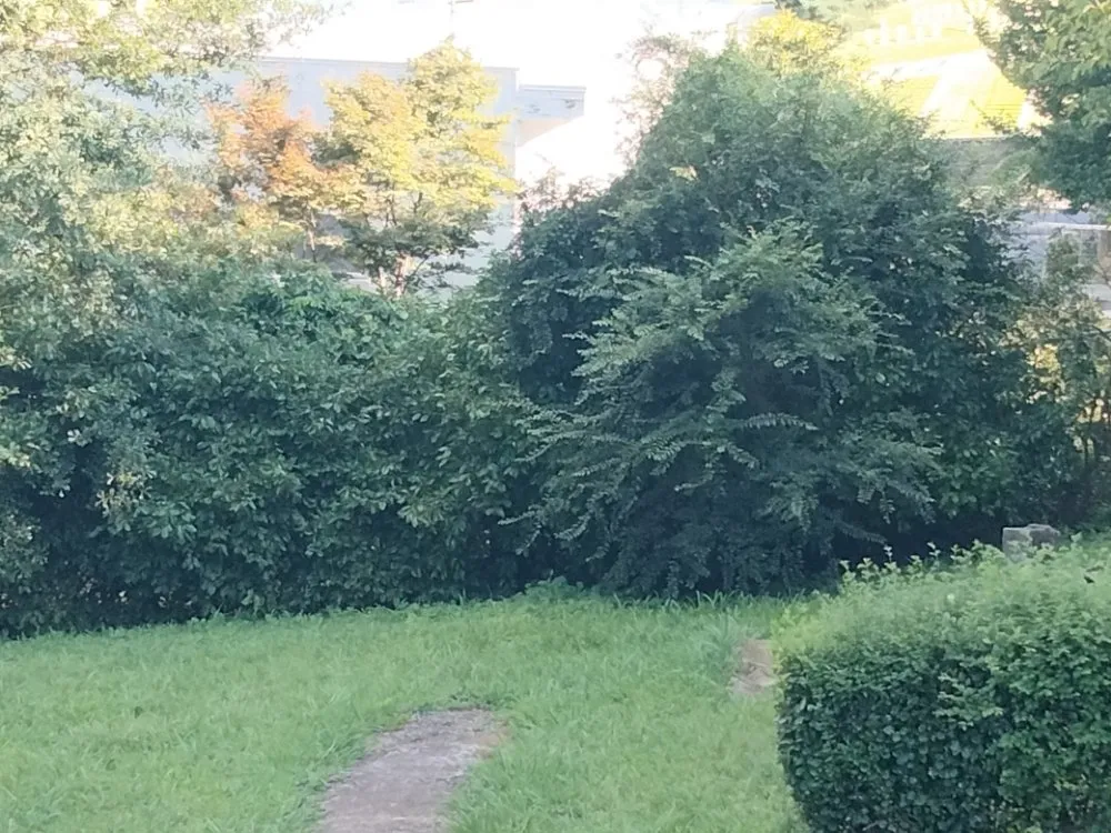 Custom landscaping services experts serving Austell, GA - Cheapest in Town Landscaping