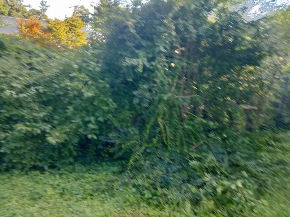 Top-rated lawn mowing service in Austell, GA - Cheapest in Town Landscaping