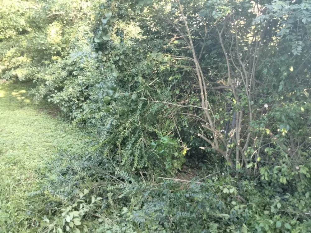 Trusted lawn care service in Austell, GA - Cheapest in Town Landscaping