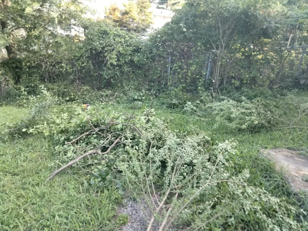 Reliable yard cleanup service experts serving Austell, GA - Cheapest in Town Landscaping