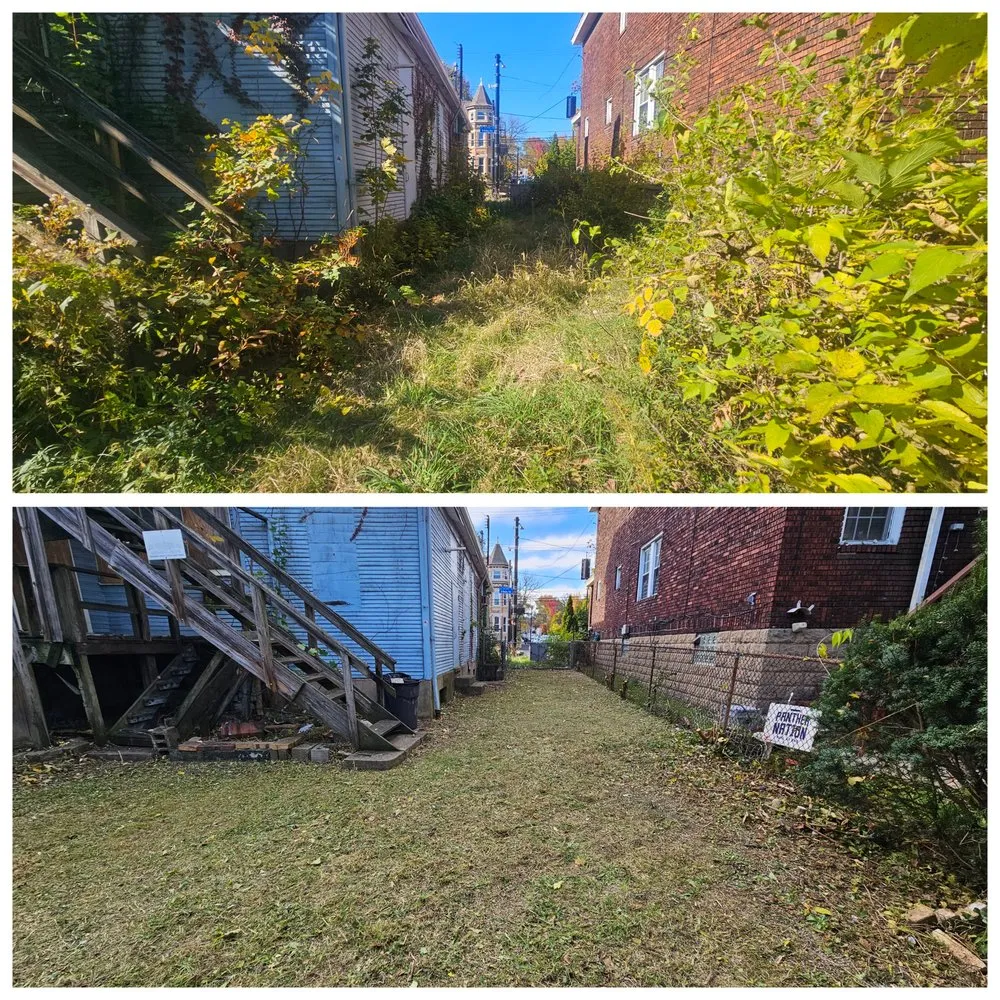 Trusted yard maintenance in Pittsburgh, PA by Cheapscape Landscape