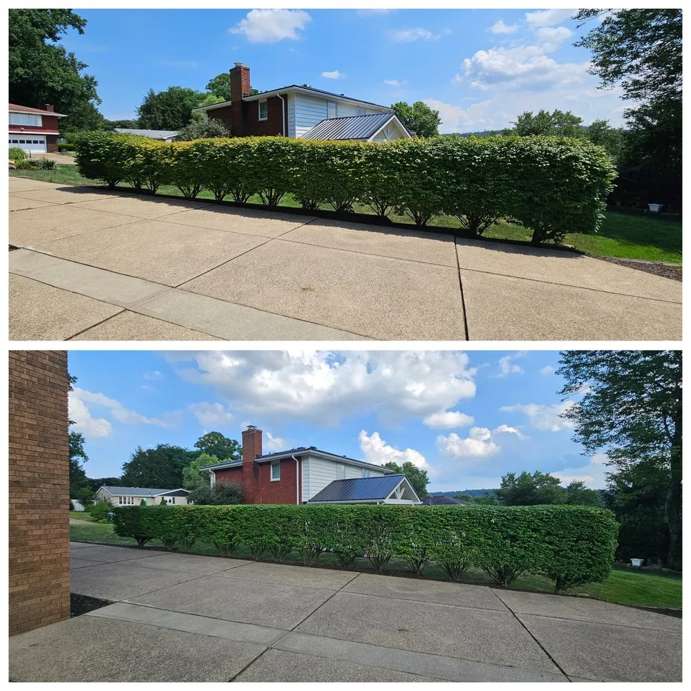 Professional garden landscaping in Pittsburgh, PA - Cheapscape Landscape