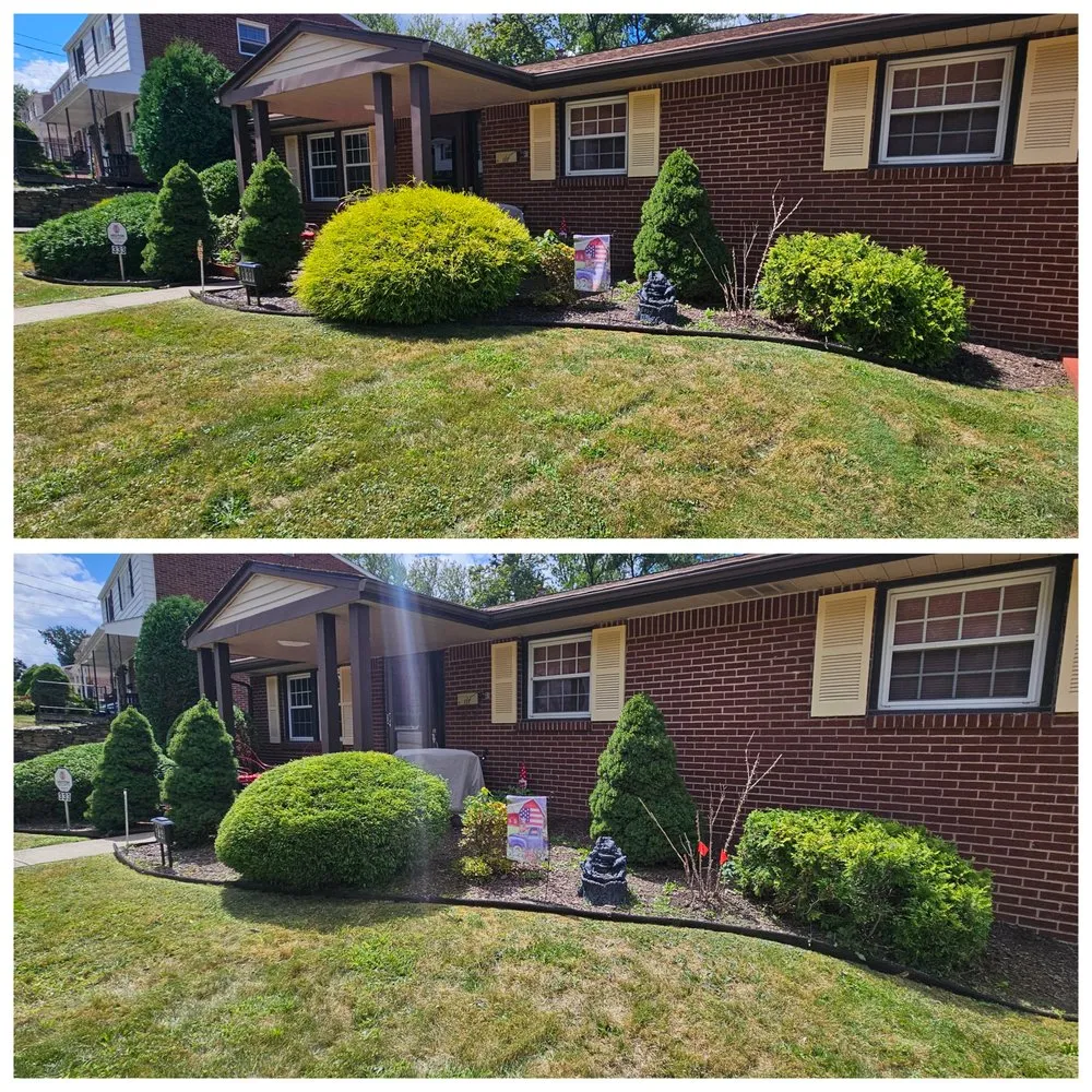 Affordable lawn care service in Pittsburgh, PA - Cheapscape Landscape