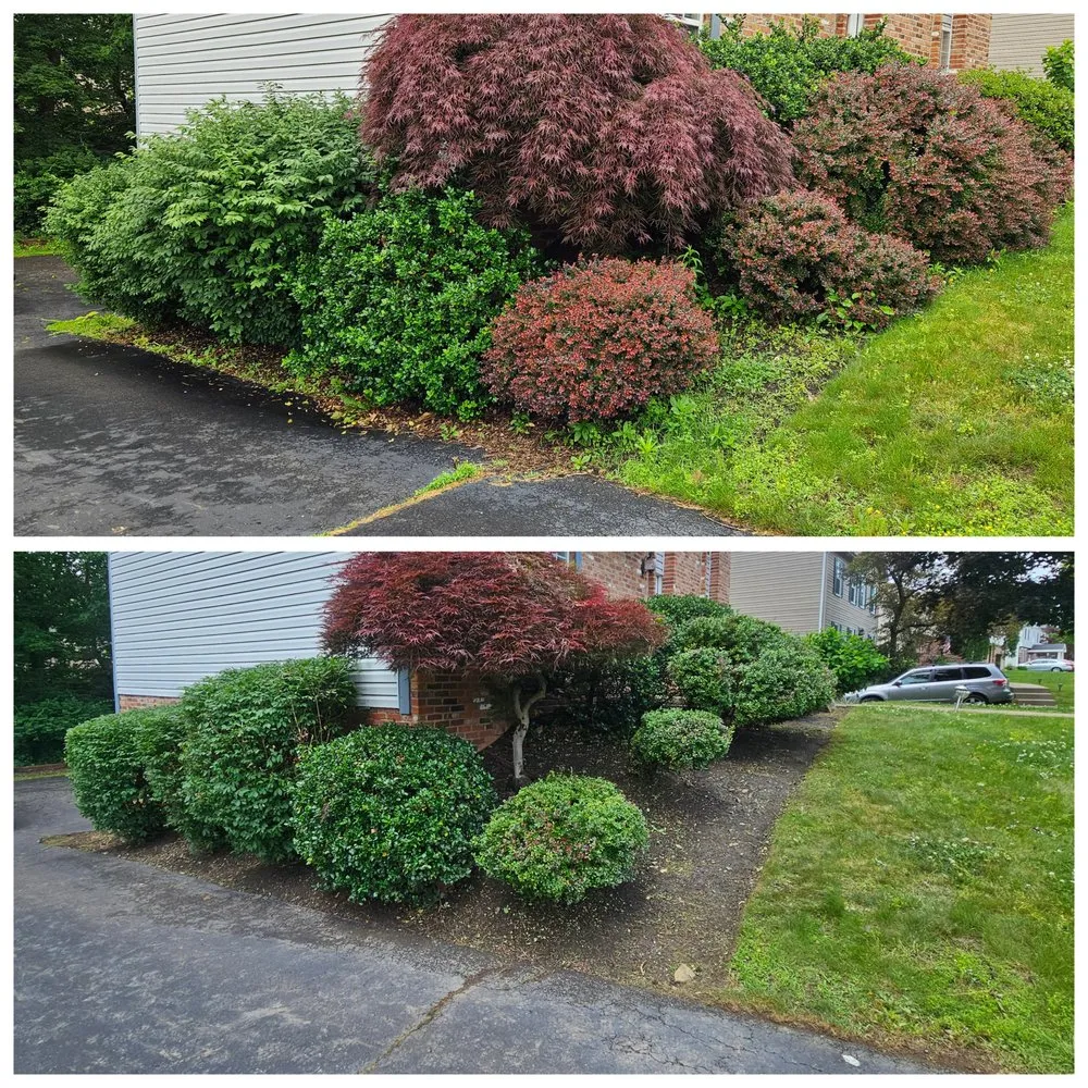 Reliable residential landscaping in Pittsburgh, PA - Cheapscape Landscape