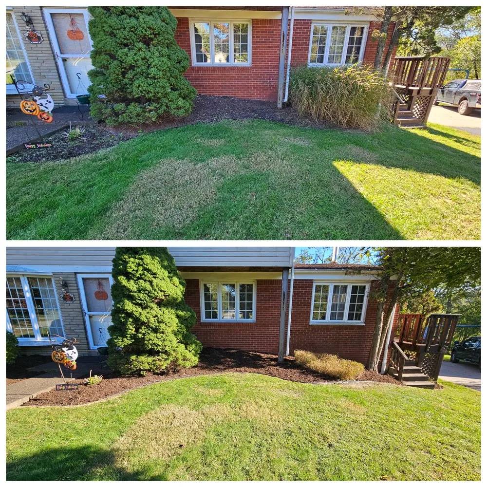 Affordable landscape design experts serving Pittsburgh, PA - Cheapscape Landscape