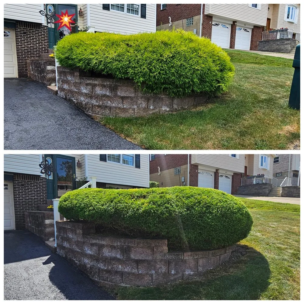 Professional residential landscaping in Pittsburgh, PA - Cheapscape Landscape