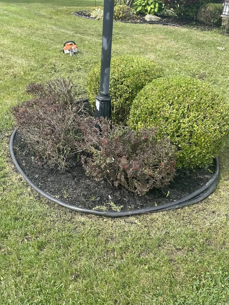 Reliable landscaping services for beautiful yards in Alden, NY by Cheapscapes