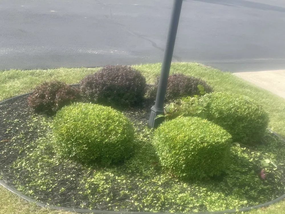 Professional lawn mowing service in Alden, NY - Cheapscapes