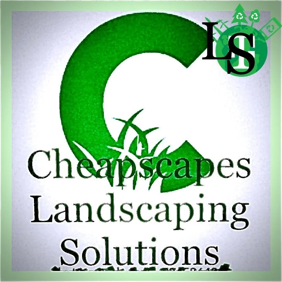 Top-rated outdoor landscaping for year-round maintenance across Shepherdsville, KY - Cheapscapes Landscaping Solutions