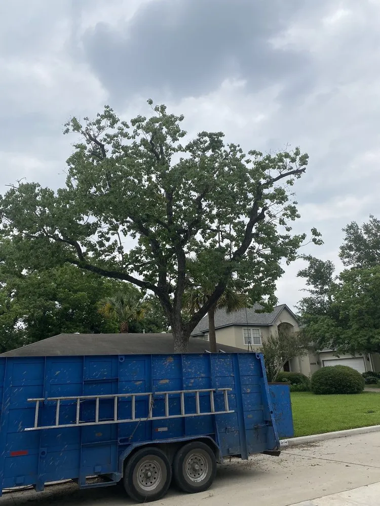 Trusted outdoor landscaping in Houston, TX by Cheapway Tree Service and Landscaping