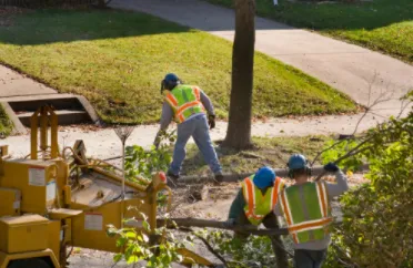 Professional landscaping services in Houston, TX - Cheapway Tree Service and Landscaping