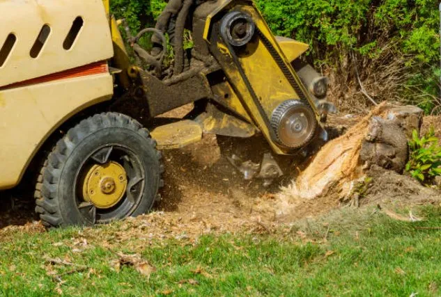 Local yard maintenance for beautiful yards across Houston, TX - Cheapway Tree Service and Landscaping