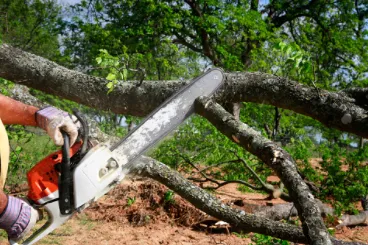 Custom lawn care service with custom design in Houston, TX by Cheapway Tree Service and Landscaping