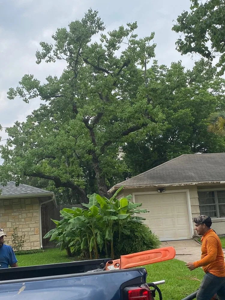Local landscaping services experts serving Houston, TX - Cheapway Tree Service and Landscaping