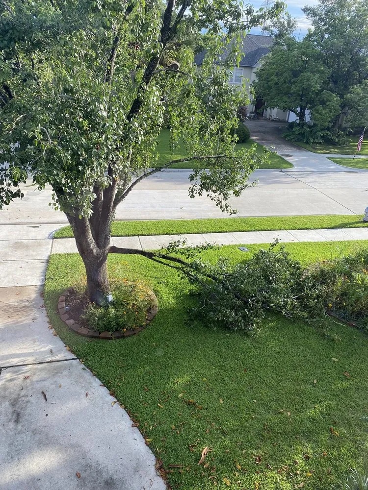 Reliable yard cleanup service experts serving Houston, TX - Cheapway Tree Service and Landscaping