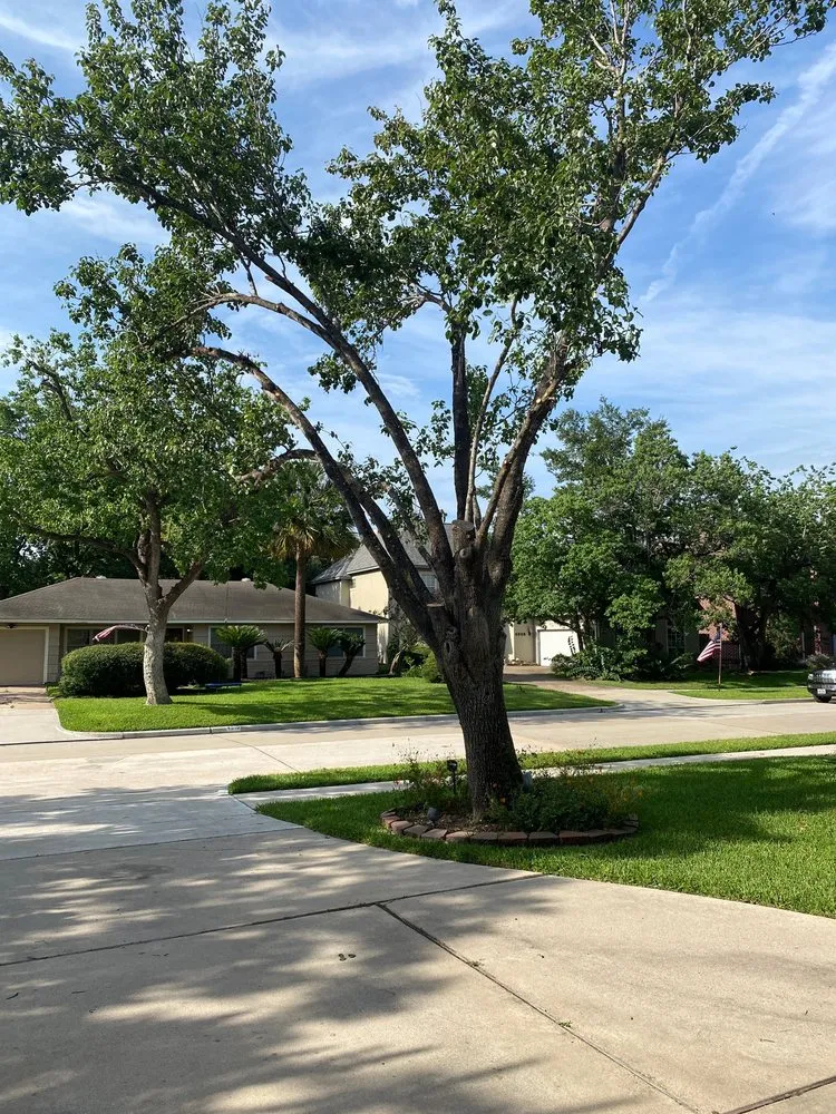 Trusted landscape installation in Houston, TX - Cheapway Tree Service and Landscaping